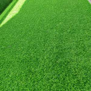 20mm Grass Carpet