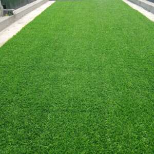 25mm Grass Carpet