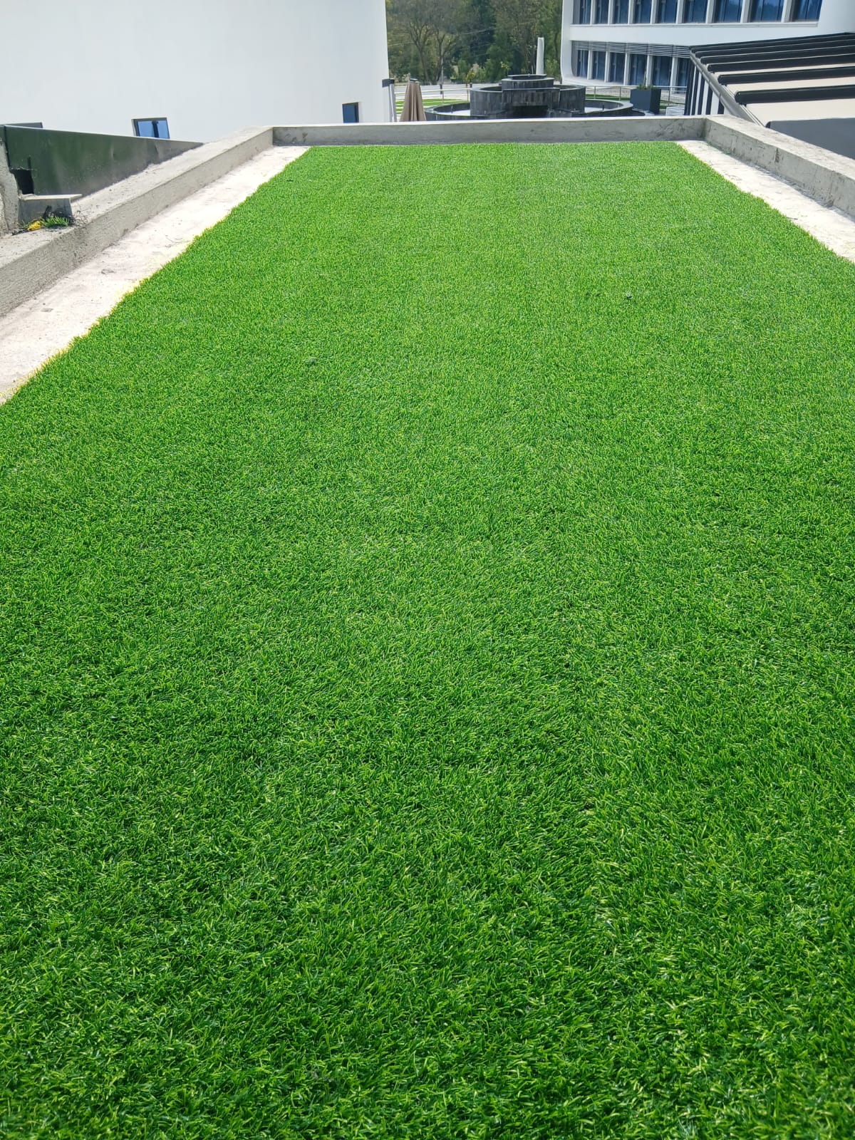 Cosmic Choices-839657 25mm Grass Carpet