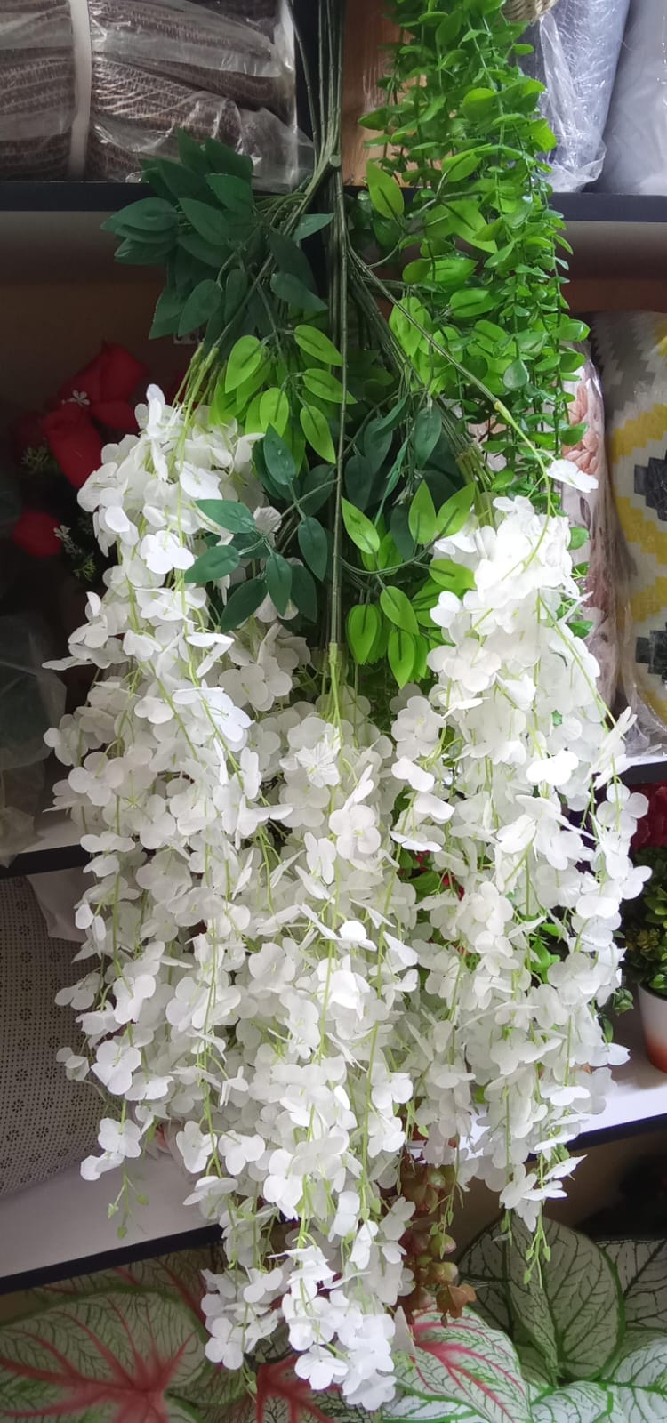 Cosmic Choices-356376 Wisteria hangings flowers