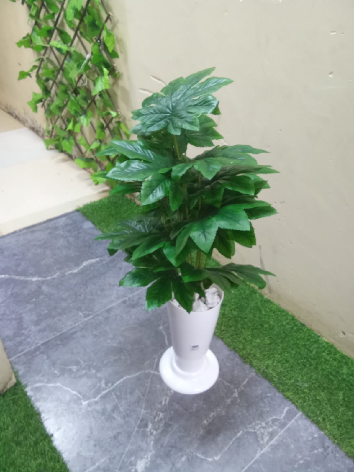 Cosmic Choices-428497 Artificial Home Decor Plants