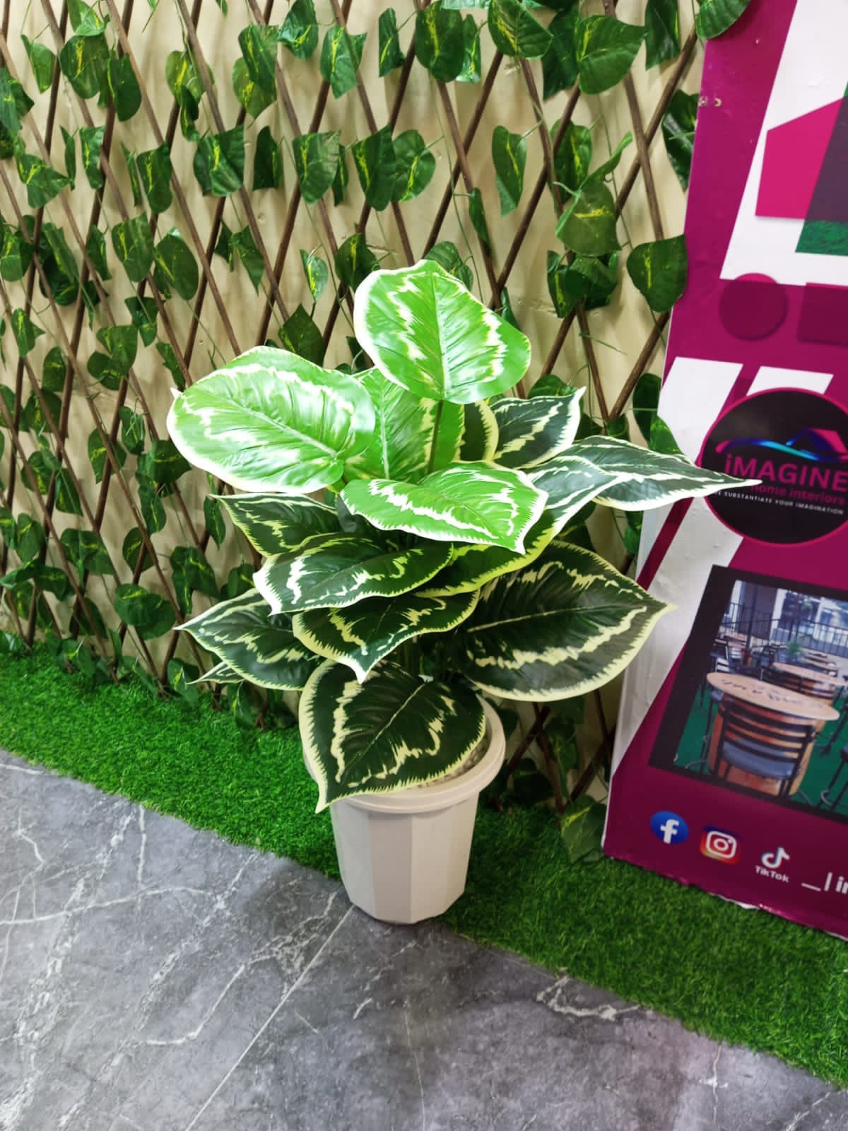 Cosmic Choices-942864 Artificial Home Decor Plants