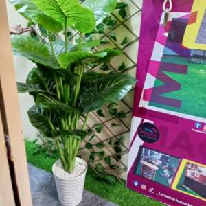 Artificial Plant (Copy)