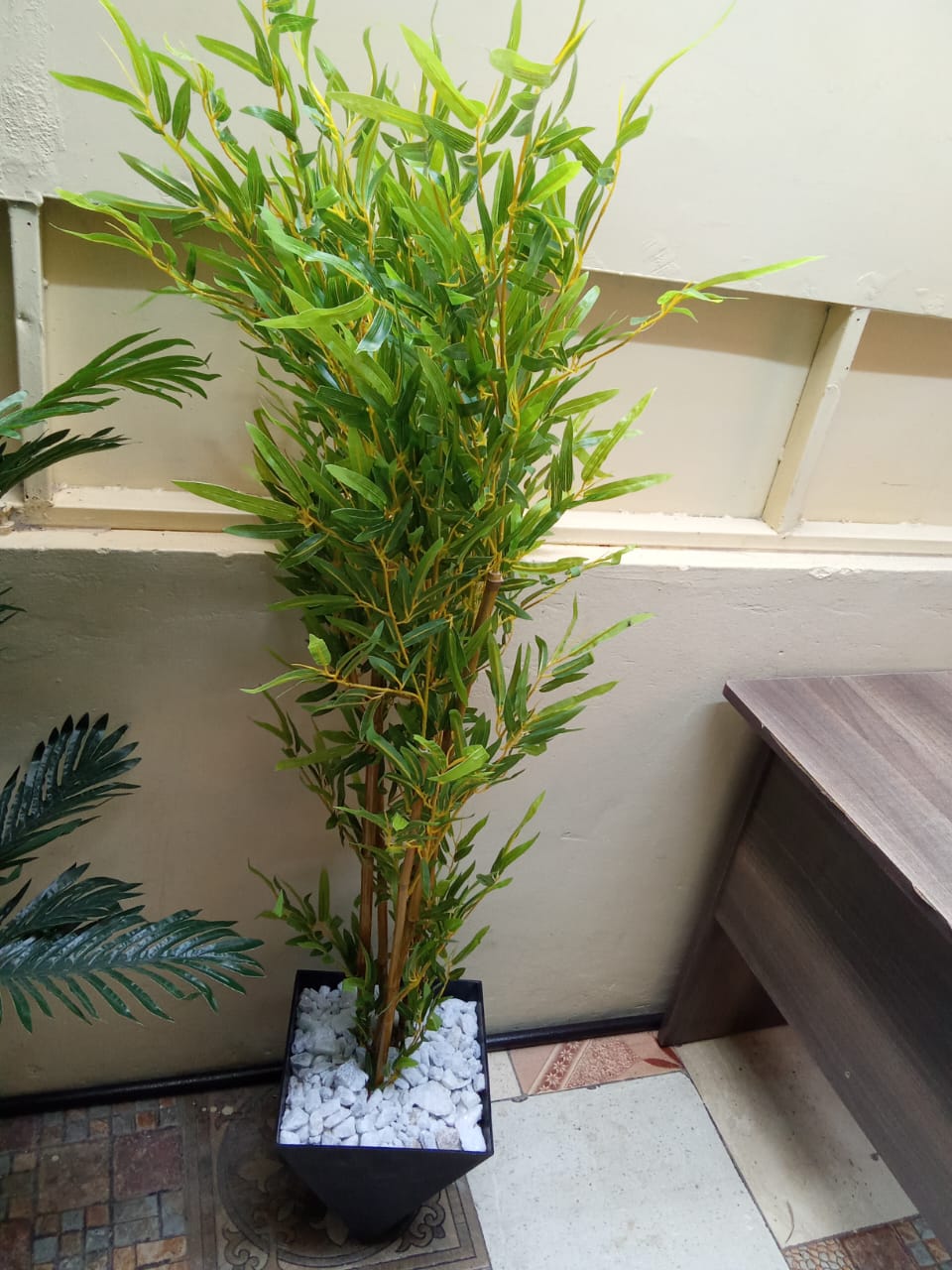 Cosmic Choices-429950 Artificial Bamboo tree (Copy)