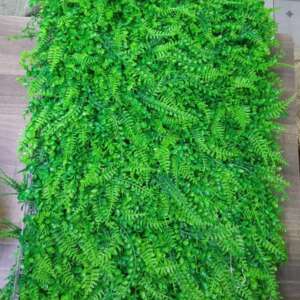 High density wall Hedge 40CM*60CM