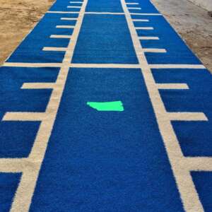 Gym grass carpet per square metre