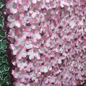 Coloured privacy fence