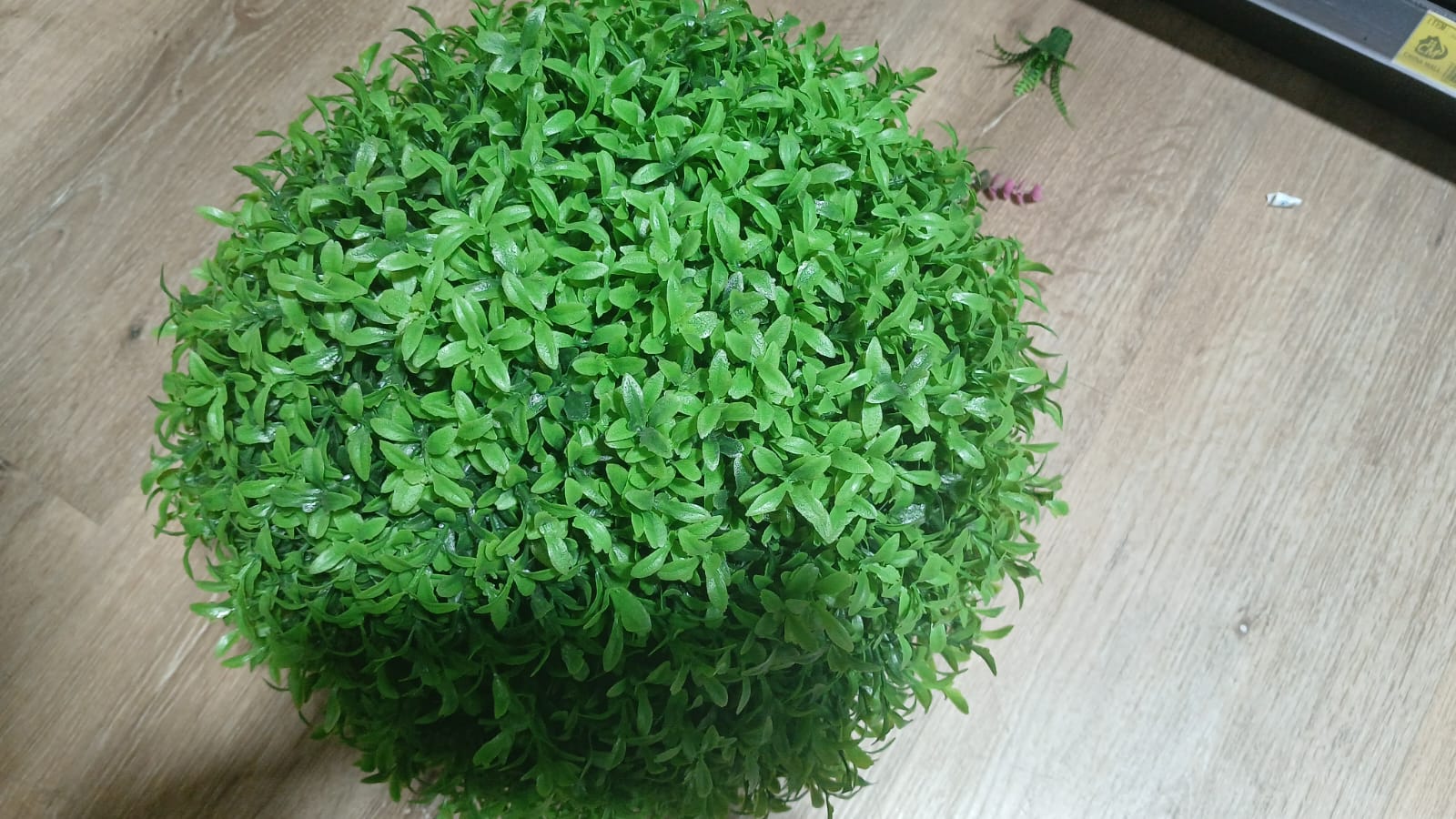 Jesilog-Decor-063943.jpeg Peanut ball