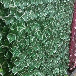 Coloured privacy fence