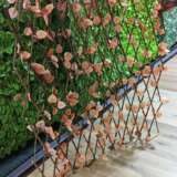 Coloured expandable fences