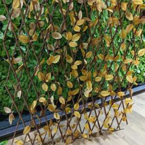 Coloured expandable fences