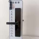 Advanced Model Smart Lock