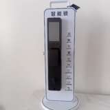 Premium Model Smart Lock