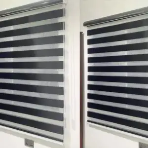 Zebra blinds