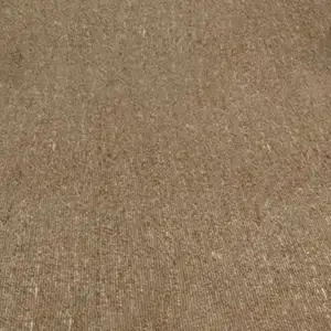 Delta Wall-to-Wall Carpet