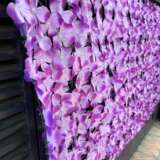 Coloured Privacy Fence