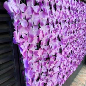 Coloured Privacy Fence
